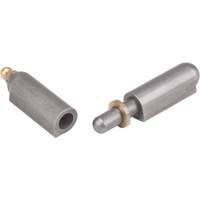 Weld-On Hinge, 0.512" Dia. x 3.15" L, Mild Steel w/Fixed Steel Pin Helyx Safety & Industrial Supplies