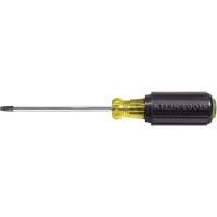Tournevis Klein a/manche caoutchout&eacute;-Tournevis Torx &agrave; tige ronde Helyx Safety & Industrial Supplies