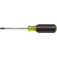 Tournevis Klein a/manche caoutchout&eacute;-Tournevis Torx &agrave; tige ronde Helyx Safety & Industrial Supplies