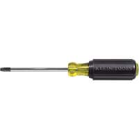 Tournevis Klein a/manche caoutchout&eacute;-Tournevis Torx &agrave; tige ronde Helyx Safety & Industrial Supplies
