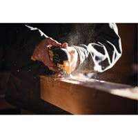 Max XR&reg; Brushless 3-Speed Oscillating Multi-Tool (Tool Only), 20 V, Lithium-Ion Helyx Safety & Industrial Supplies
