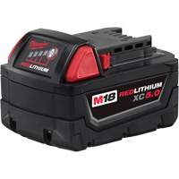 Bloc-piles &agrave; capacit&eacute; &eacute;tendue M18 Redlithium XC5.0 , Lithium-ion, 18 V, 5 A Helyx Safety & Industrial Supplies