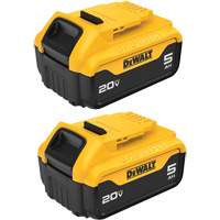 Max XR&reg; Premium Battery Pack, Lithium-Ion, 20 V, 5 A Helyx Safety & Industrial Supplies