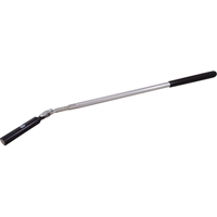 Outil de ramassage t&eacute;lescopique, Longueur de 26-1/2", Diam&egrave;tre de 5/8", Capacit&eacute; de 6,5 lb Helyx Safety & Industrial Supplies