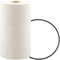 P7247 Spin-On Coolant Filter with BTE Formula Helyx Safety & Industrial Supplies