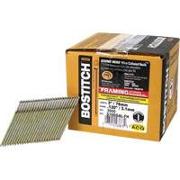 28° Angled Framing Nails Helyx Safety & Industrial Supplies