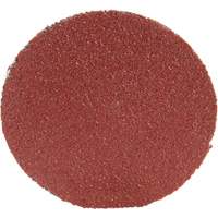 Disque 361F Roloc, 1-1/2" dia., Grain P100, Oxyde d'aluminium Helyx Safety & Industrial Supplies