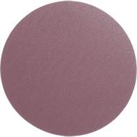 PSA Cloth Disc 348D, 12" Dia., 60 Grit, Aluminum Oxide, X-Weight Helyx Safety & Industrial Supplies