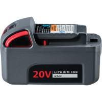 IQV20 High Capacity Battery, Lithium-Ion, 20 V, 5 Ah Helyx Safety & Industrial Supplies