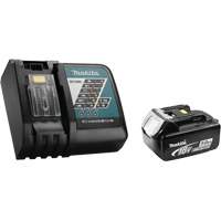 Ensemble batterie et chargeur rapide, 18 V, Lithium-ion Helyx Safety & Industrial Supplies