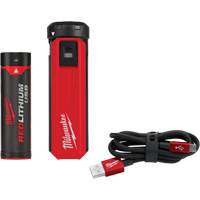 Trousse d'alimentation et de chargeur USB Redlithium, 4 V, Lithium-ion Helyx Safety & Industrial Supplies