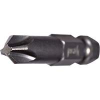 Power Bit, Phillips, #2 Tip, 1/4" Drive Size, 2-3/4" Length Helyx Safety & Industrial Supplies
