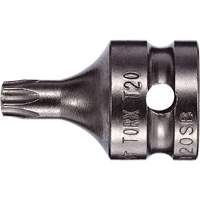 Embout &agrave; ins&eacute;rer, Torx inviolable, 8 x 3/4" lo, Prise 1/4" Helyx Safety & Industrial Supplies