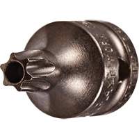 Embout &agrave; ins&eacute;rer, Torx inviolable, 8 x 3/4" lo, Prise 1/4" Helyx Safety & Industrial Supplies