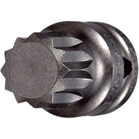 Embout &agrave; ins&eacute;rer, Triple carr&eacute;, 5 x 3/4" lo, Prise 1/4" Helyx Safety & Industrial Supplies