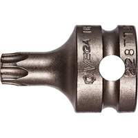 Embout &agrave; ins&eacute;rer, Torx inviolable, 25 x 1" lo, Prise 3/8" Helyx Safety & Industrial Supplies