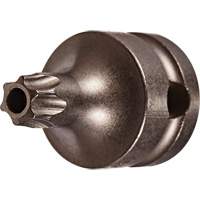 Embout &agrave; ins&eacute;rer, Torx inviolable, 25 x 1" lo, Prise 3/8" Helyx Safety & Industrial Supplies