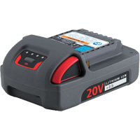 IQV20 Series Battery, Lithium-Ion, 20 V, 2.5 Ah Helyx Safety & Industrial Supplies