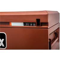 Armoire Site-Vault, 30" x 20" x 19-3/4", Acier, Orange Helyx Safety & Industrial Supplies