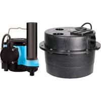 Pompe de puisard Drainosaur, 29 gal./min, 115 V, 9 A, 1/3 CV Helyx Safety & Industrial Supplies