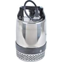 Pompe utilitaire s&eacute;rie FLS/FS, 1 CV, 80 gal./min, 115 V, 10 A Helyx Safety & Industrial Supplies