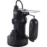 Pompe de puisard de s&eacute;rie 5.5, 35 gal./min, 115 V, 3,5 A, 1/4 CV Helyx Safety & Industrial Supplies