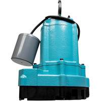 Pompe d'effluent de s&eacute;rie 9EC, 70 gal./min, 115 V, 7,5 A, 4/10 CV Helyx Safety & Industrial Supplies