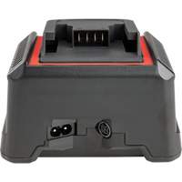 2.5 Ah & 5.0 Ah Battery Charger, 120 V, Lithium-Ion Helyx Safety & Industrial Supplies