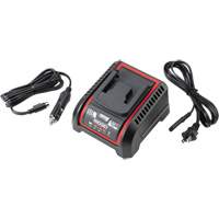 2.5 Ah & 5.0 Ah Battery Charger, 120 V, Lithium-Ion Helyx Safety & Industrial Supplies