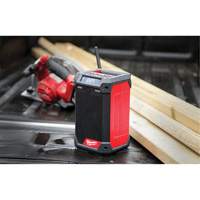 M12 Radio & Charger (Tool Only), Lithium-Ion, 12 V Helyx Safety & Industrial Supplies