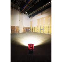 M12 Rover Mounting Flood Light, LED, 250 W, 1000 Lumens Helyx Safety & Industrial Supplies