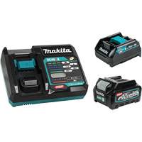 XGT&reg; Battery, Lithium-Ion, 40 V, 2.5 A Helyx Safety & Industrial Supplies