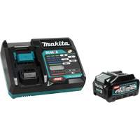 XGT&reg; Battery, Lithium-Ion, 40 V, 4 A Helyx Safety & Industrial Supplies