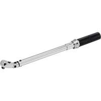 Cl&eacute; dynamom&eacute;trique &agrave; microm&egrave;tre, &agrave; cliquer, Entraînement 3/8" carr&eacute;, 10,17 - 105,1 N,m/5 - 75 lb-pi Helyx Safety & Industrial Supplies