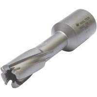 Core Cut Annular Cutter with Weldon Shank, 12 mm Diameter, Carbide, 30 mm Depth of Cut, 3/4" Shank Helyx Safety & Industrial Supplies