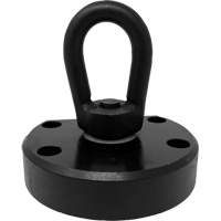 Adaptateur de cosse verticale pour aimants en terre rare Advantage Lift Helyx Safety & Industrial Supplies
