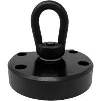 Adaptateur de cosse verticale pour aimants en terre rare Advantage Lift Helyx Safety & Industrial Supplies