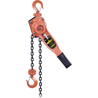 KLP-75-10 Palan &agrave; chaîne &agrave; levier s&eacute;rie KLP pour usage intensif, Lev&eacute;e 10', Cabacit&eacute; 1500 lb (0,75 tonne) Helyx Safety & Industrial Supplies