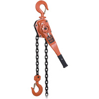 KLP-300L-5 Palan &agrave; chaîne &agrave; levier robuste s&eacute;rie KLP avec protection contre la surcharge, Lev&eacute;e 5', Cabacit&eacute; 6000 lb (3 tonnes) Helyx Safety & Industrial Supplies