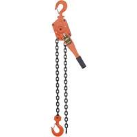 Palans &agrave; chaîne s&eacute;rie VLP, Lev&eacute;e 5', Cabacit&eacute; 6000 lb (3 tonnes), Chaîne en Acier Helyx Safety & Industrial Supplies