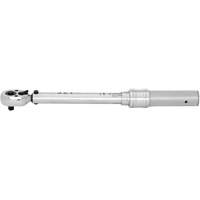JITW-14250 Cl&eacute;s dynamom&eacute;triques industrielles, &agrave; cliquer, Entraînement 1/4" carr&eacute;, 50 - 250 lb-po Helyx Safety & Industrial Supplies