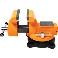&eacute;tau d'&eacute;tabli pour m&eacute;canicien avec enclume, Largeur des m&acirc;choires 6" Helyx Safety & Industrial Supplies