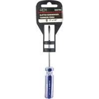 Tournevis &agrave; fente bleu transparent avec bandes , Tige de 1/8", Ronde, Prise en Plastique Helyx Safety & Industrial Supplies