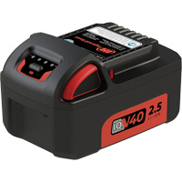 Battery, Lithium-Ion, 40 V Helyx Safety & Industrial Supplies