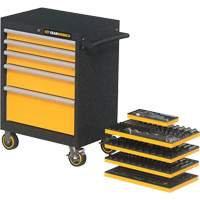 Mechanics Tool Set in Modular Foam Trays with Storage Unit, 247 Pieces Helyx Safety & Industrial Supplies