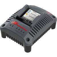 Chargeur de batterie compact IQV20, 20 V, Lithium-ion Helyx Safety & Industrial Supplies