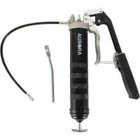 Pistolet-graisseur double &agrave; poign&eacute;e-levier Helyx Safety & Industrial Supplies