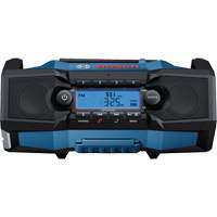 Compact Jobsite Radio with Bluetooth&reg; 5.0, Lithium-Ion, 18 V Helyx Safety & Industrial Supplies