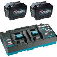 Ensemble de d&eacute;part XGT avec chargeur rapide &agrave; deux ports et deux batteries de 8?Ah, 40 V, Lithium-ion Helyx Safety & Industrial Supplies