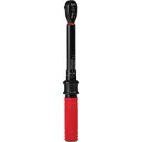 Cl&eacute; dynamom&eacute;trique, &agrave; cliquer, Entraînement 1/4" carr&eacute;, 4,5 - 22,6 Nm/40 - 200 lb-po Helyx Safety & Industrial Supplies